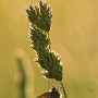 IMG_1307_1000.jpg