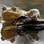 IMG_0186_1000.jpg
