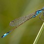 IMG_1848.jpg