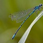 IMG_1887.jpg