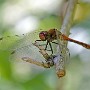 IMG_3123.jpg