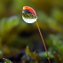 08-03-08_175528_DFF.jpg