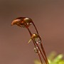 IMG_8708.jpg