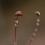 IMG_8932.jpg