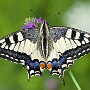 IMG_1080_1000.jpg